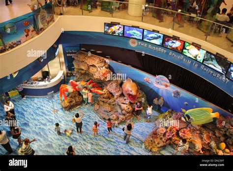 siam paragon ocean world